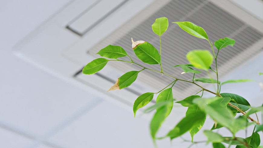 How To Improve Indoor Air Quality